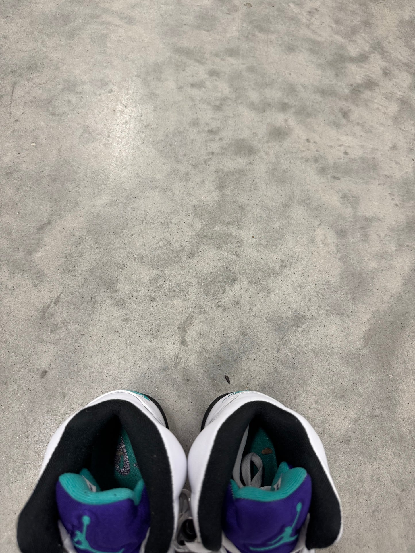 JORDAN 5 “ Grape “