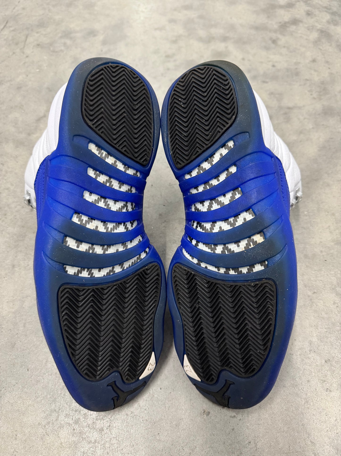 JORDAN 12 “ Blueberry “