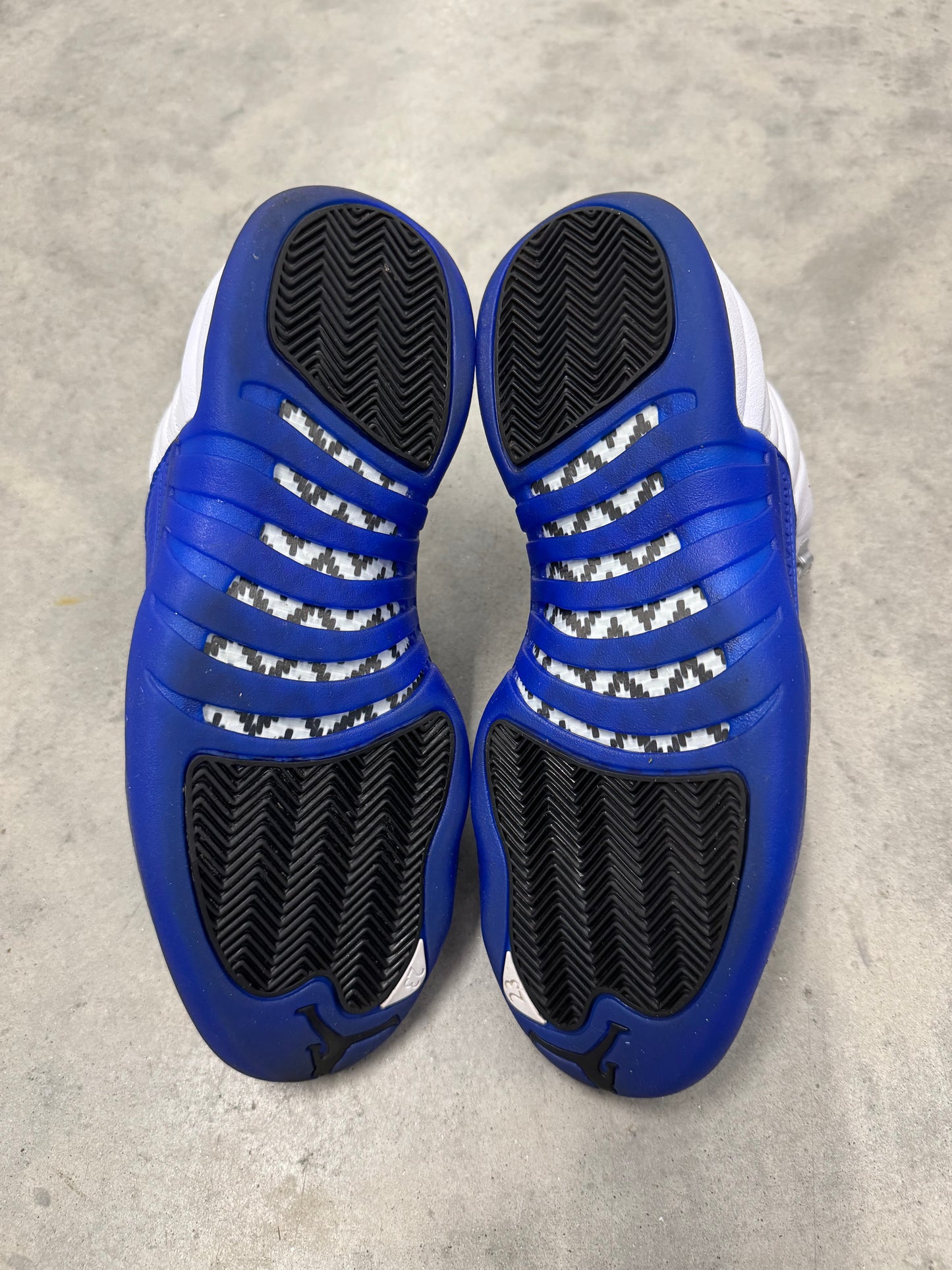 JORDAN 12 “ Blueberry “