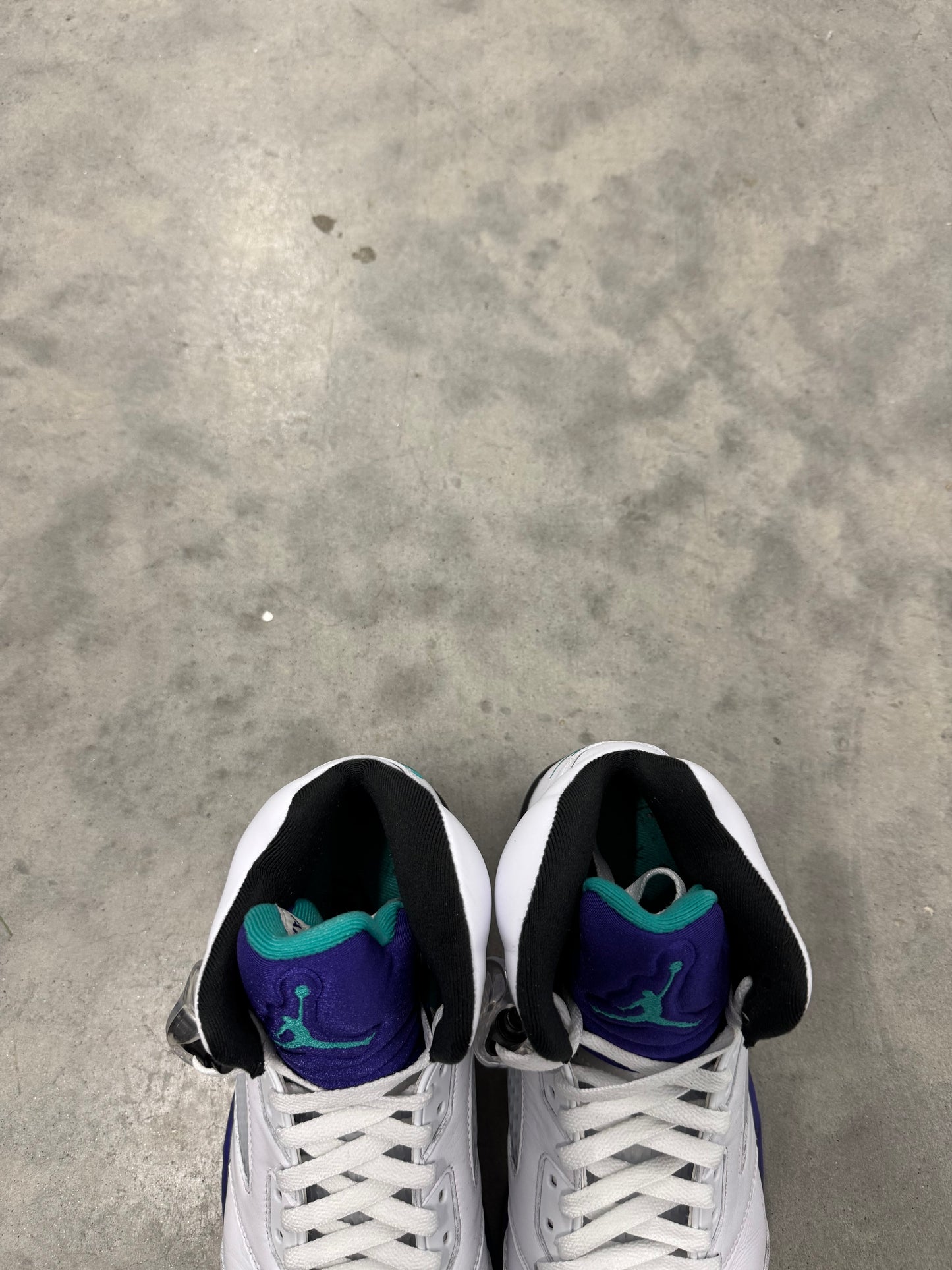 JORDAN 5 “ Grape “