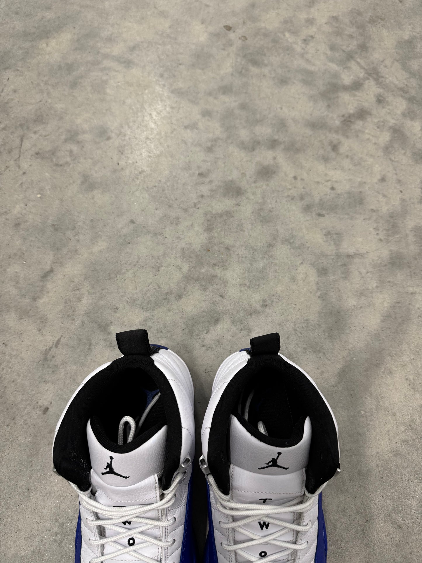 JORDAN 12 “ Blueberry “