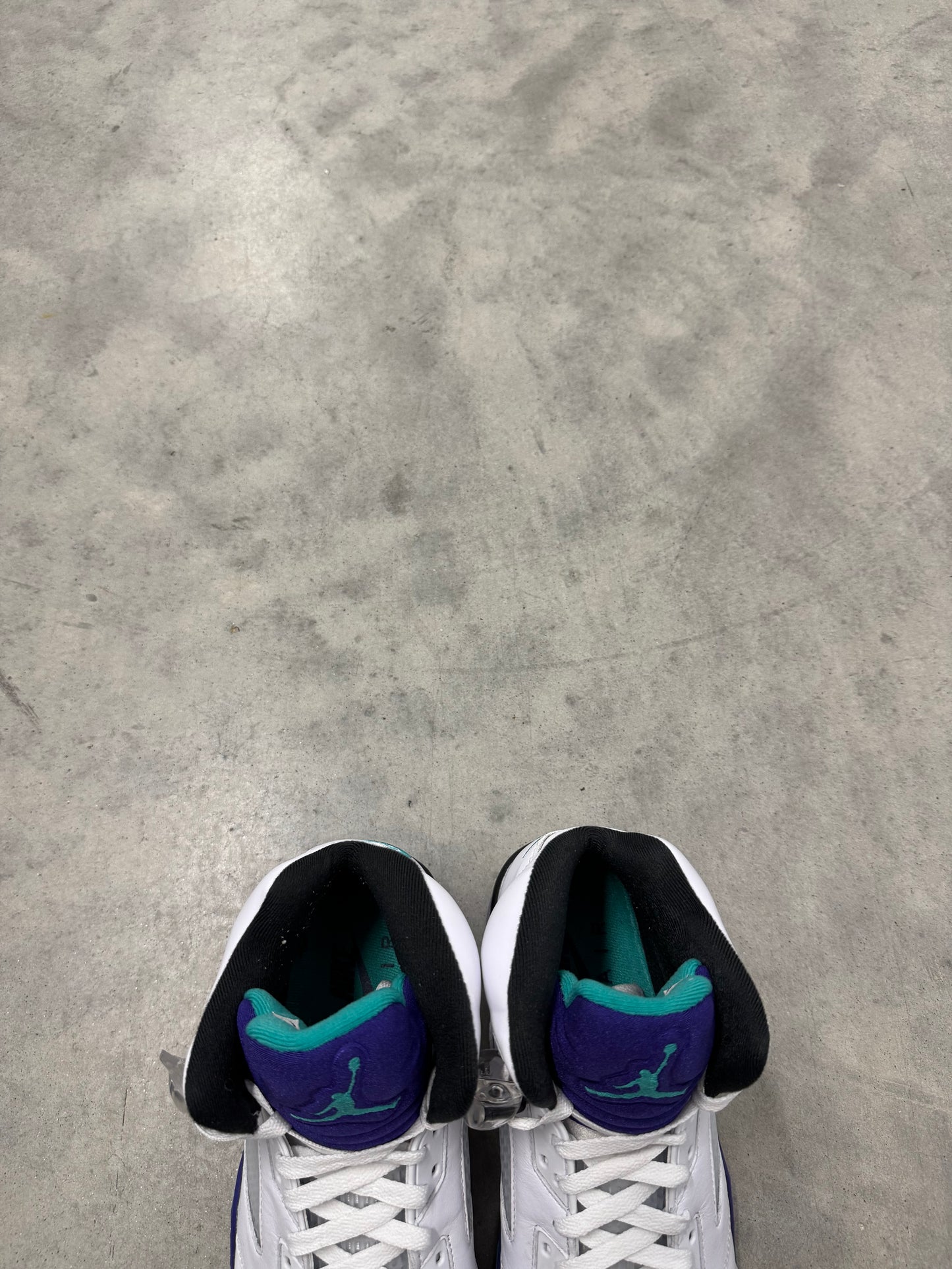 JORDAN 5 “ Grape “