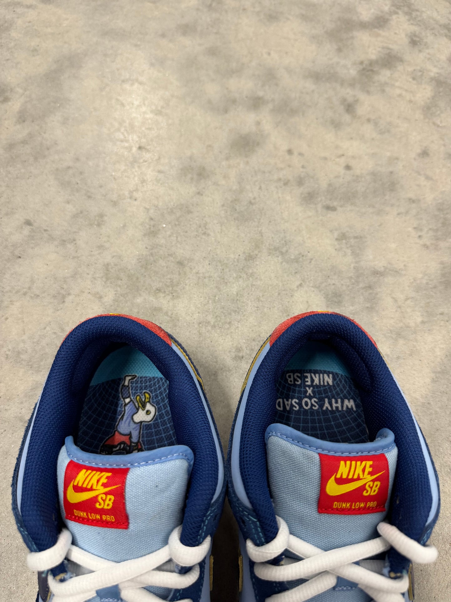 WHY SO SAD ? NIKE SB DUNK LOW “ The Predatory Bird “