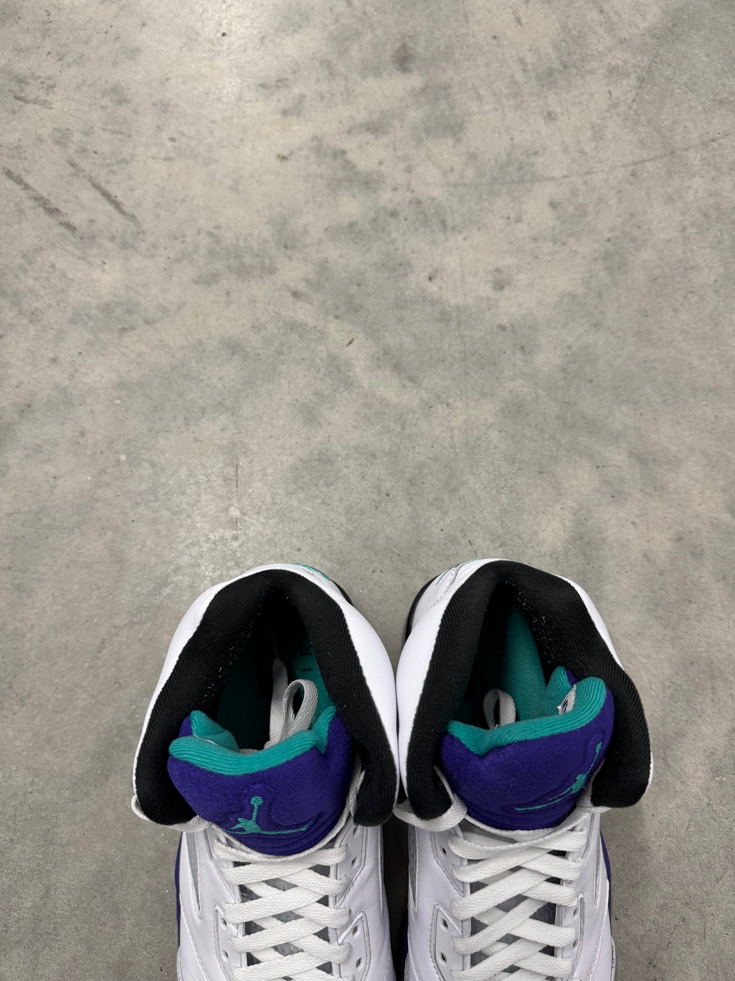 JORDAN 5 “ Grape “