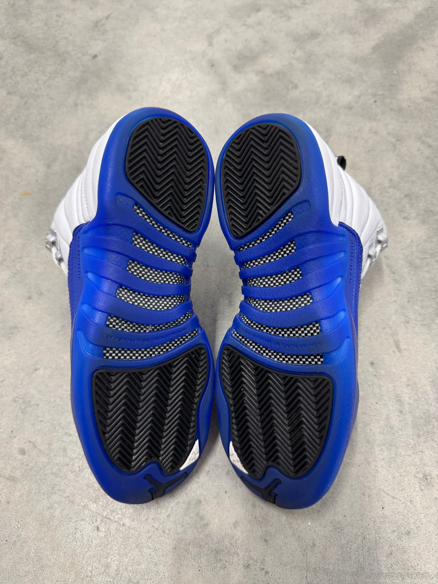 JORDAN 12 “ Blueberry “