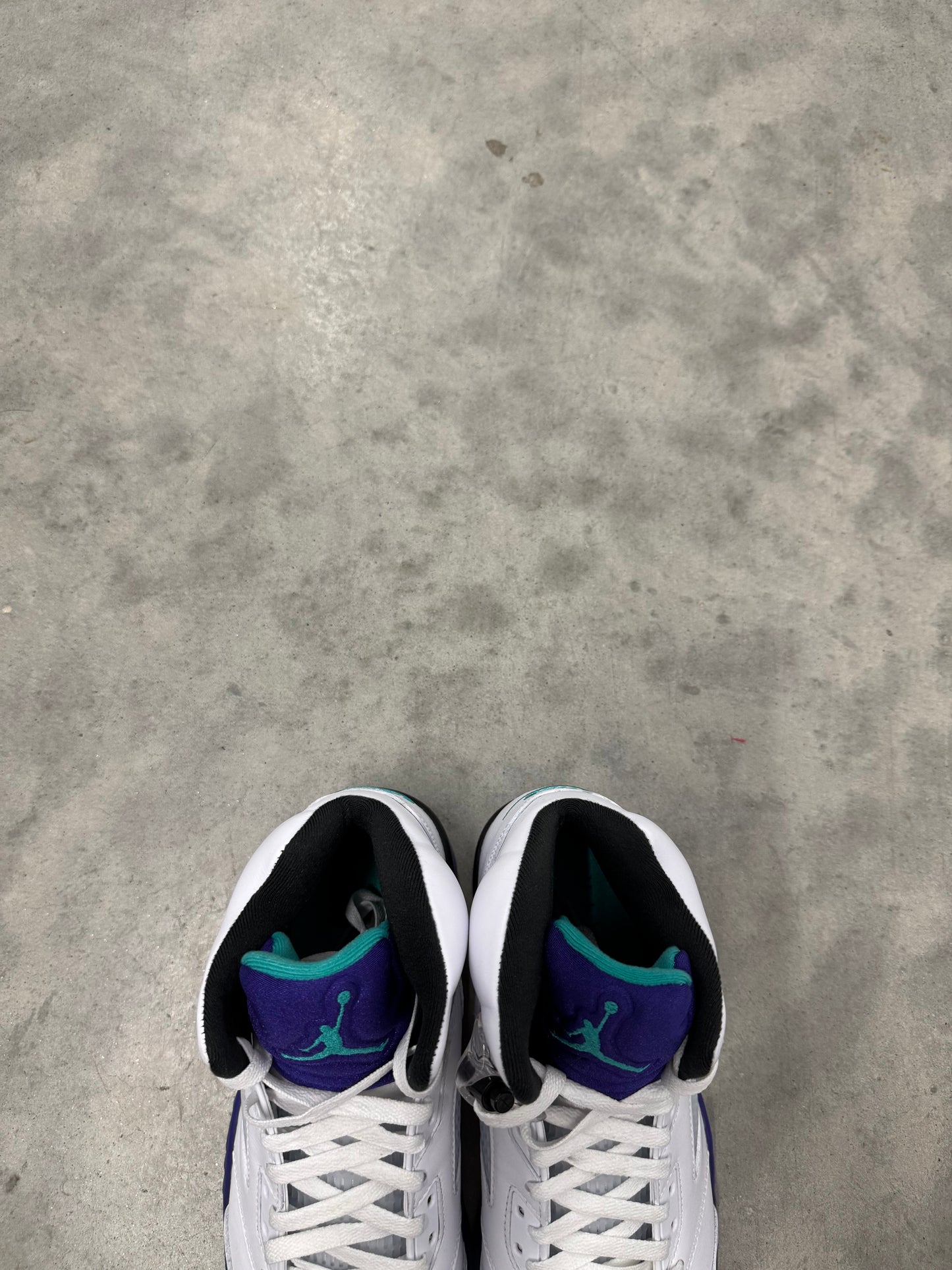 JORDAN 5 “ Grape “