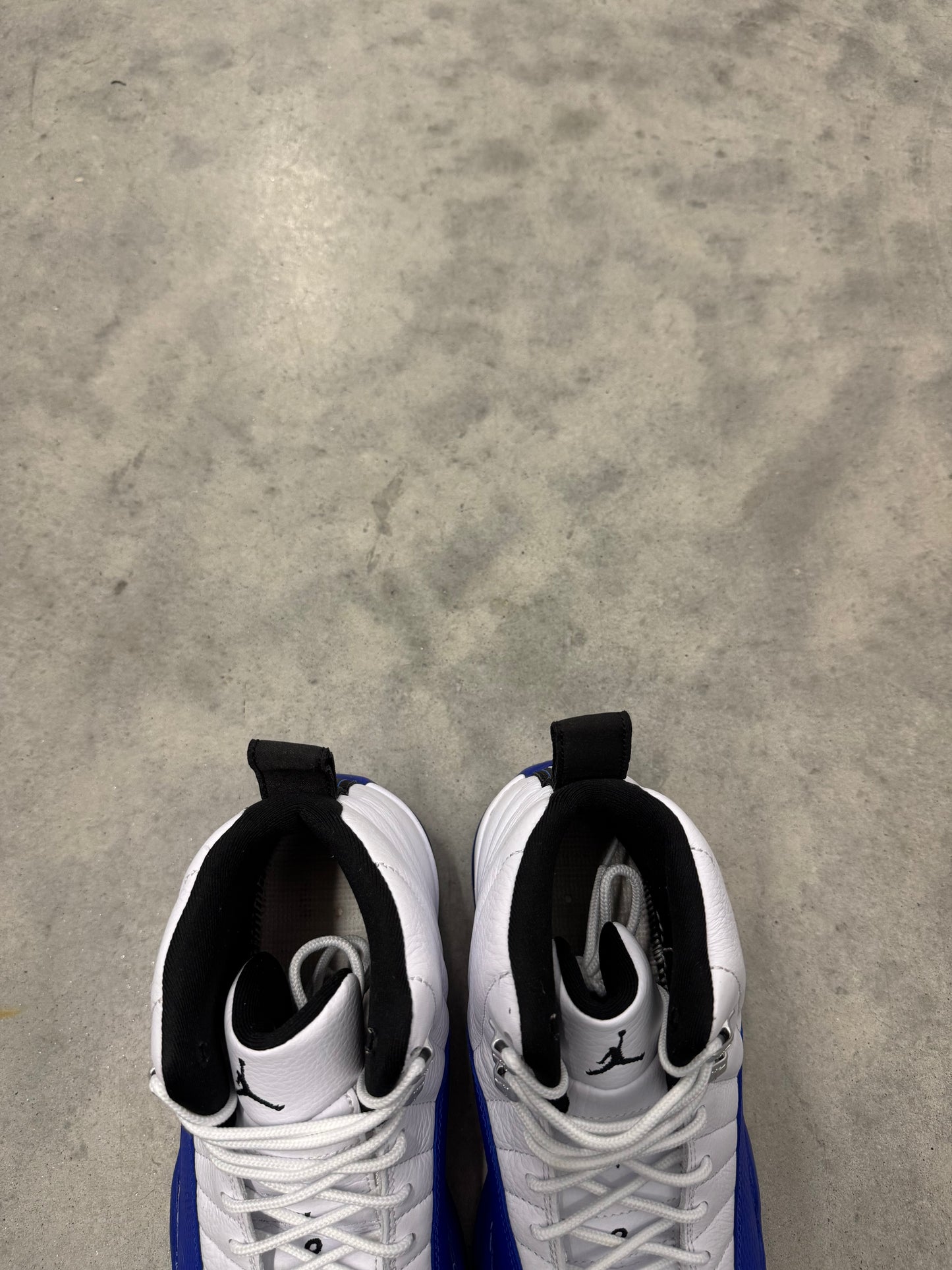 JORDAN 12 “ Blueberry “