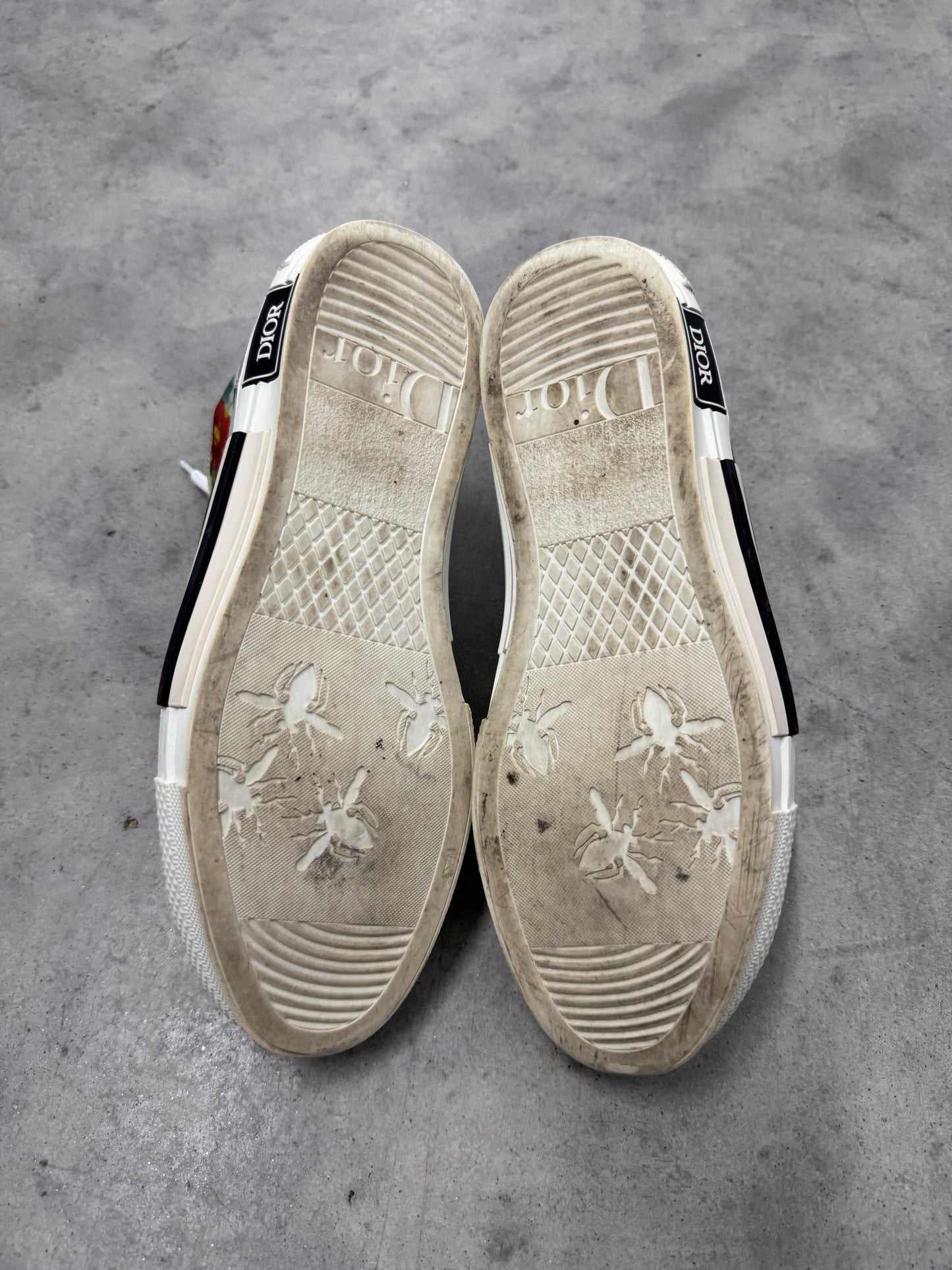 DIOR B23 HIGH “ Flowers “