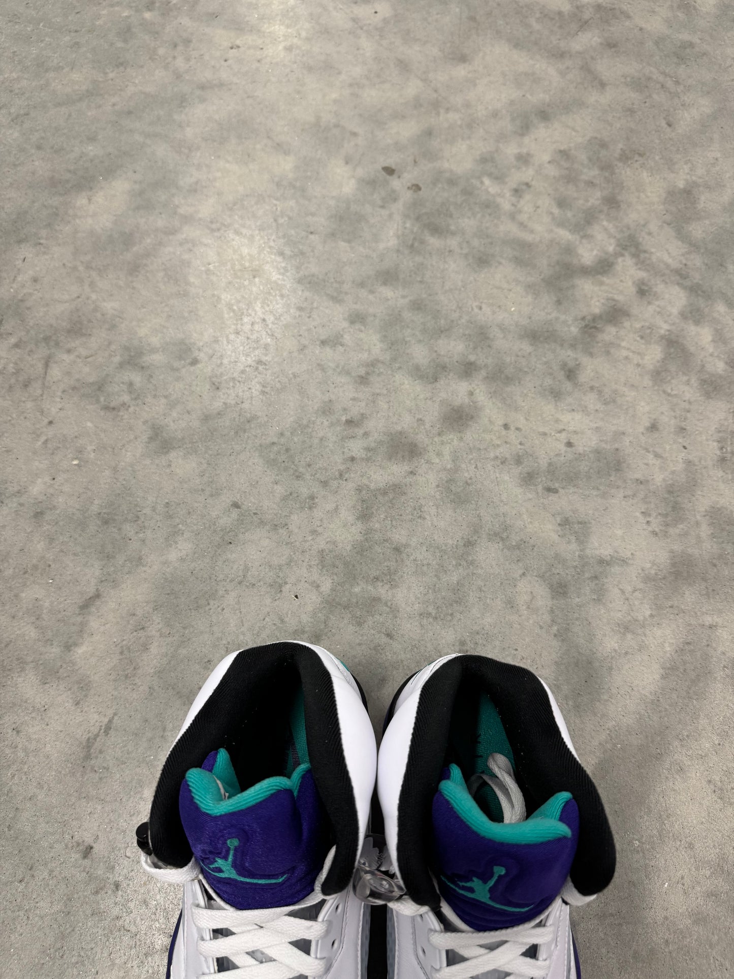 JORDAN 5 “ Grape “