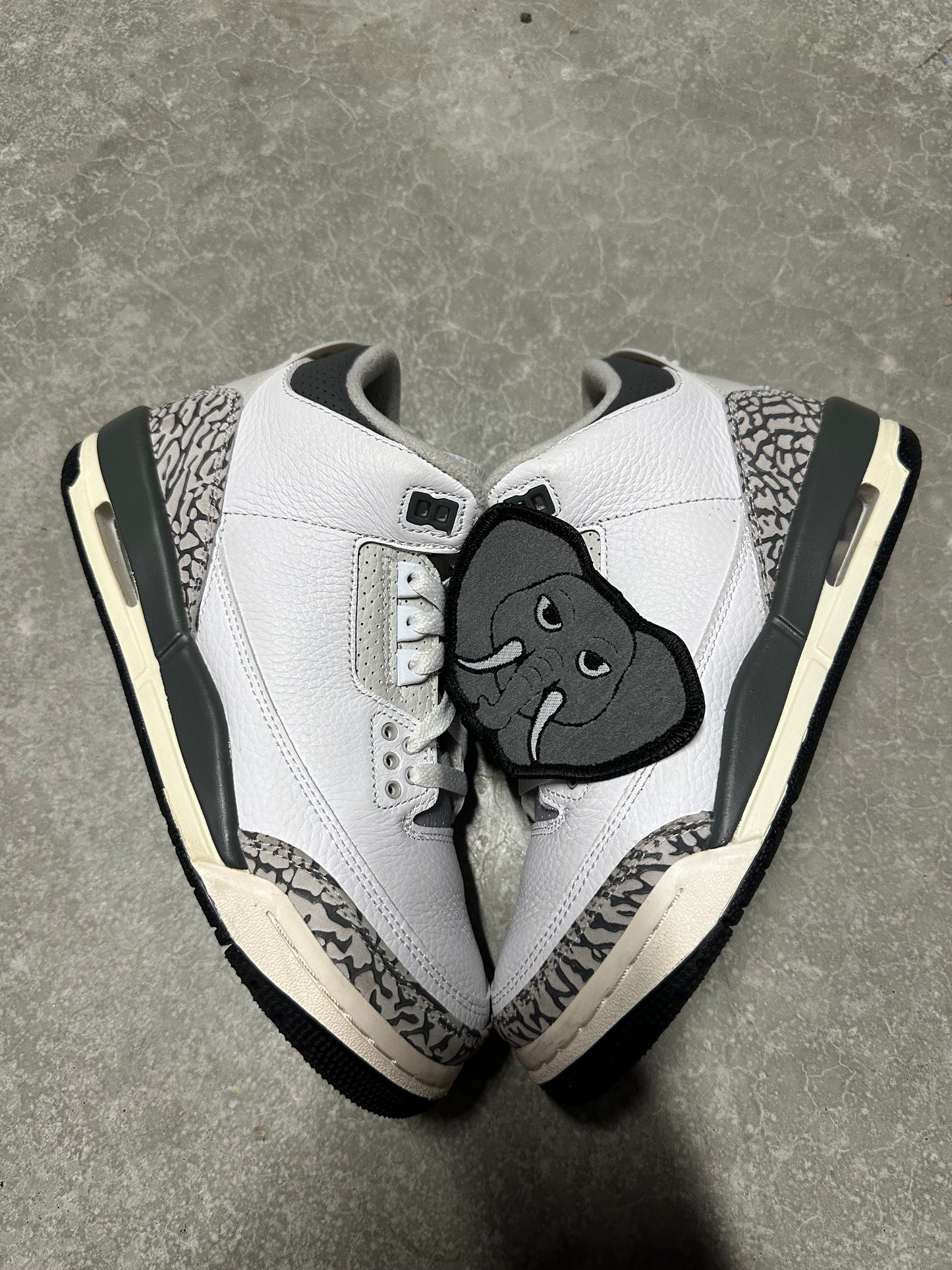 JORDAN 3 “ hide n seek “