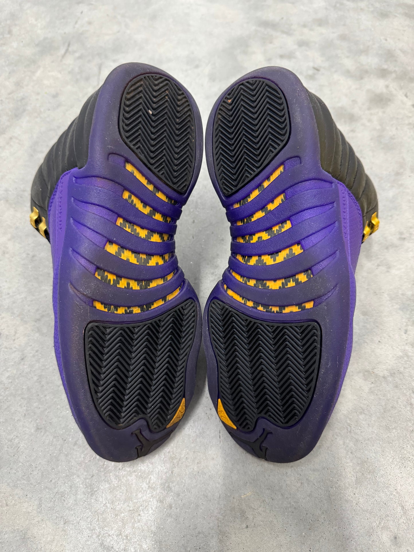 JORDAN 12 “ Field Purple “