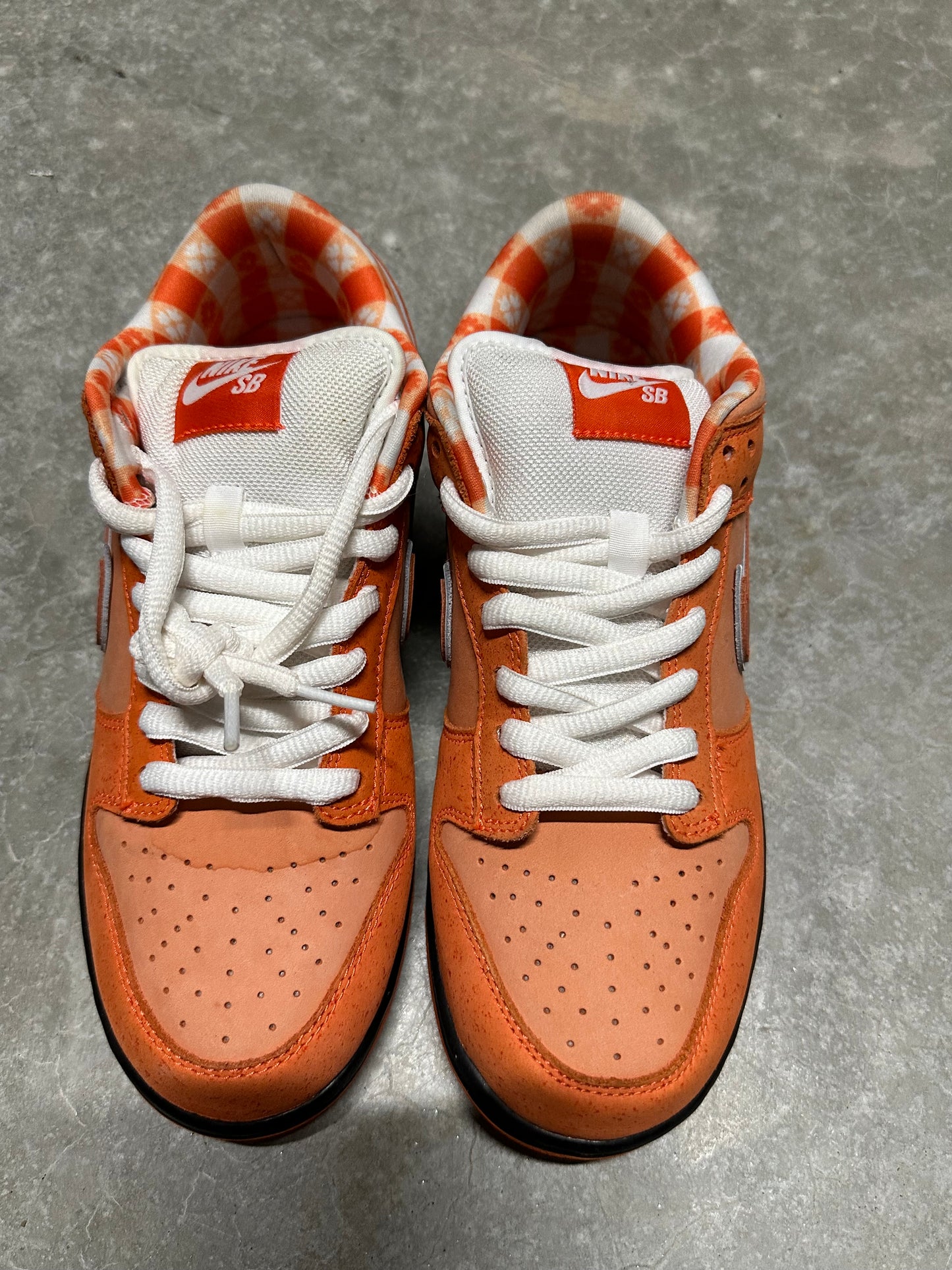 DUNK LOW SB “ Orange lobster “