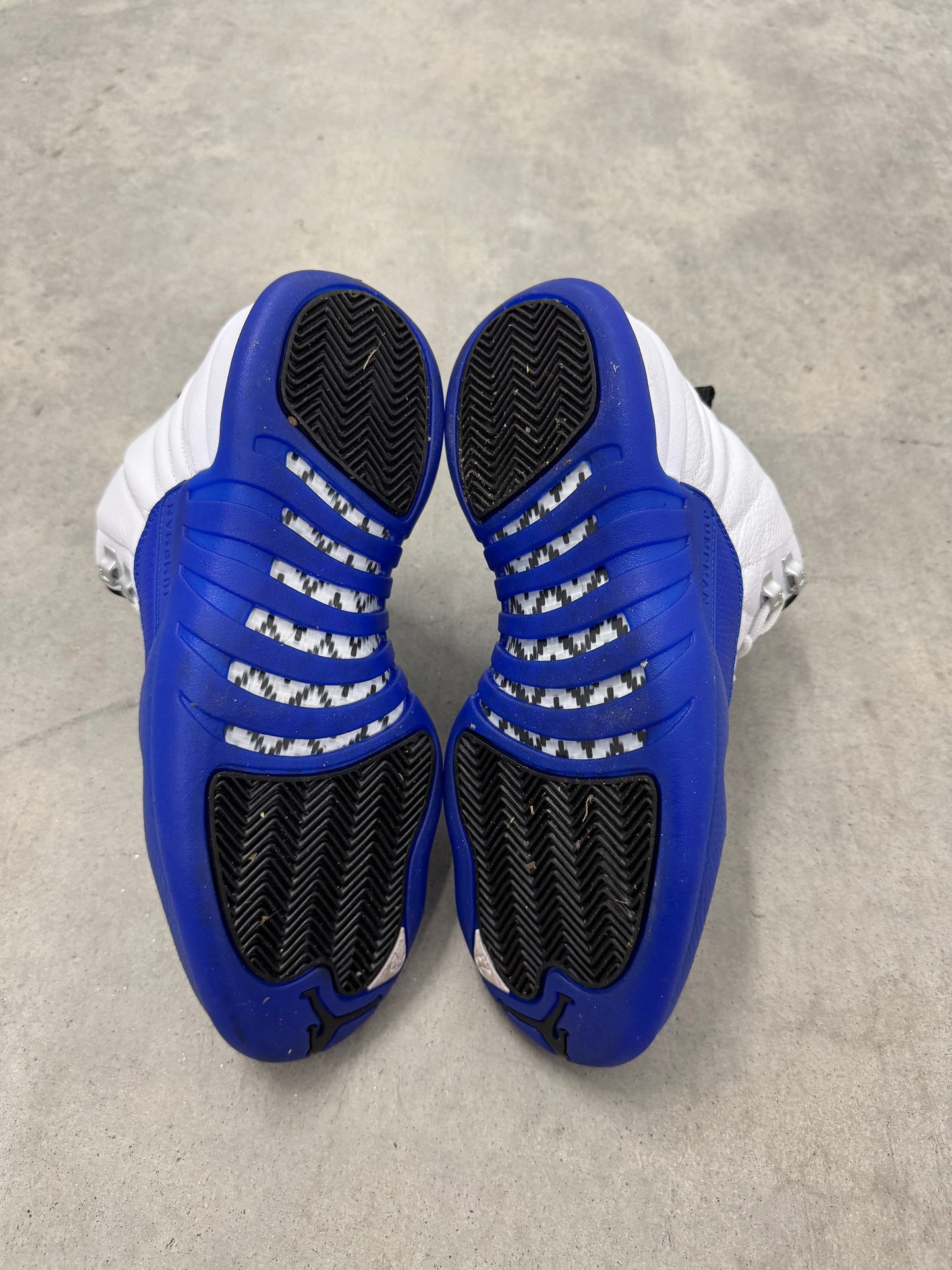 JORDAN 12 “ Blueberry “