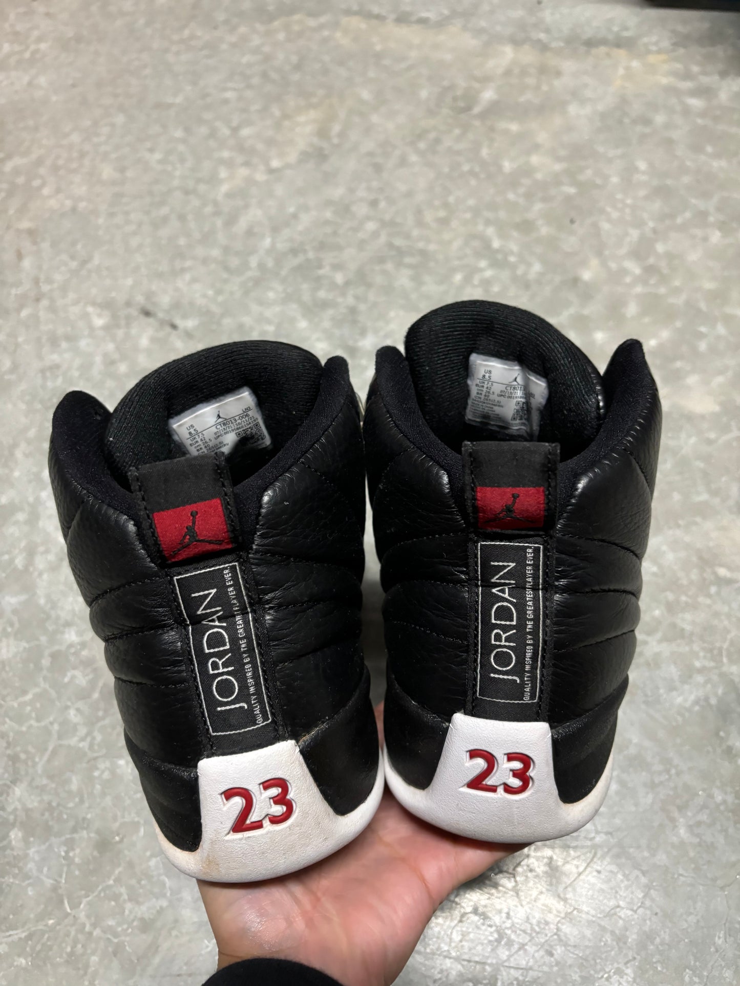 JORDAN 12 “ playoff “