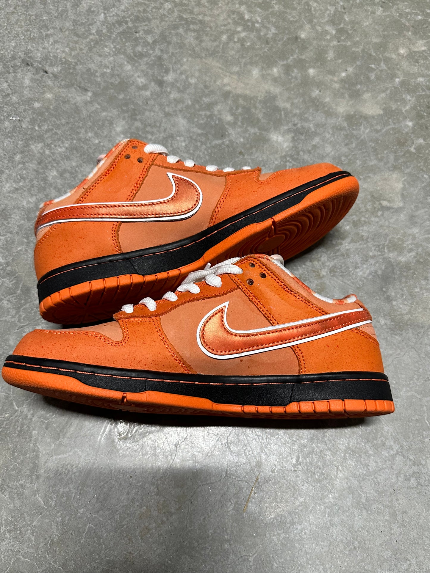 DUNK LOW SB “ Orange lobster “