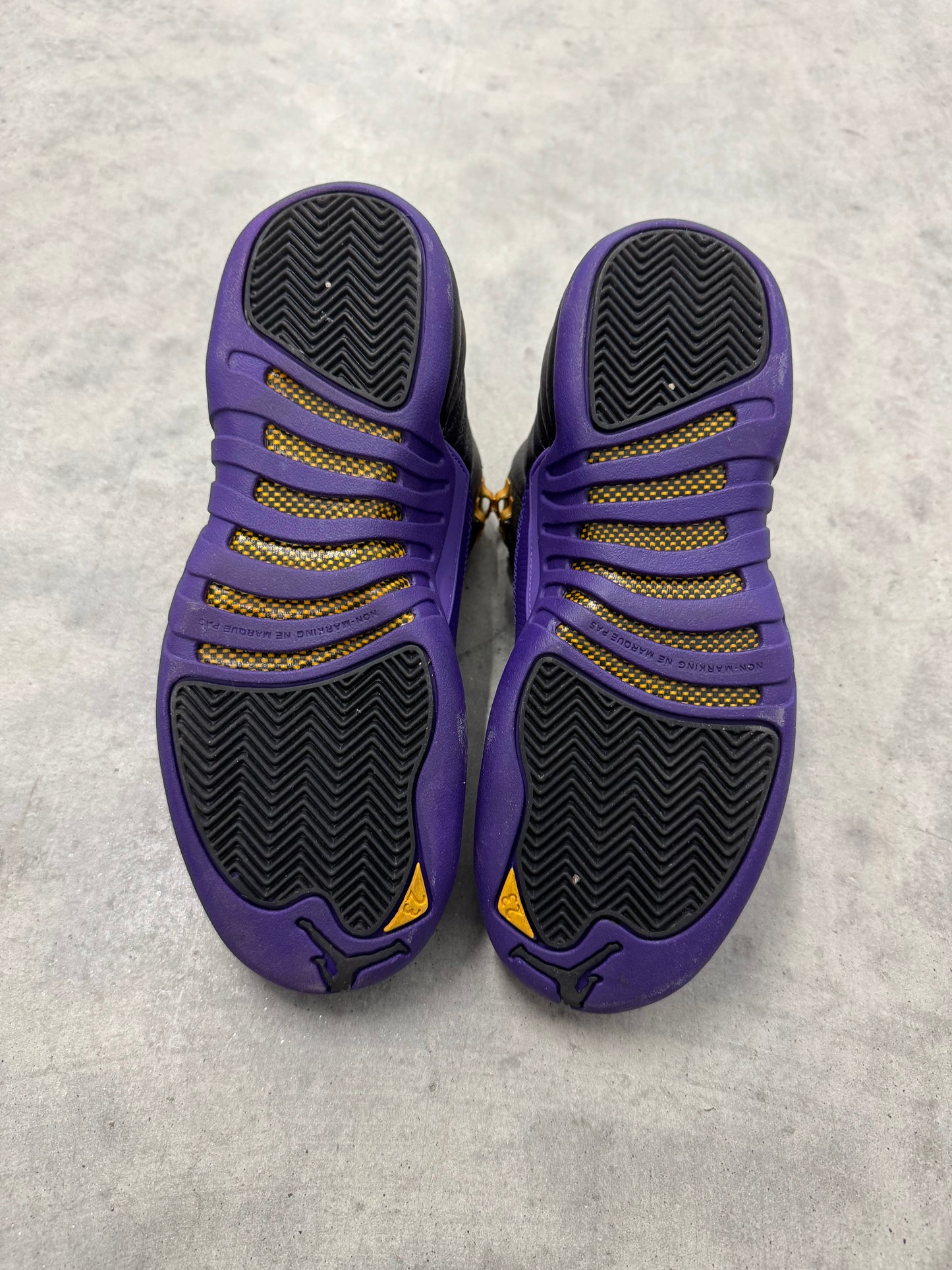 JORDAN 12 “ Field Purple “