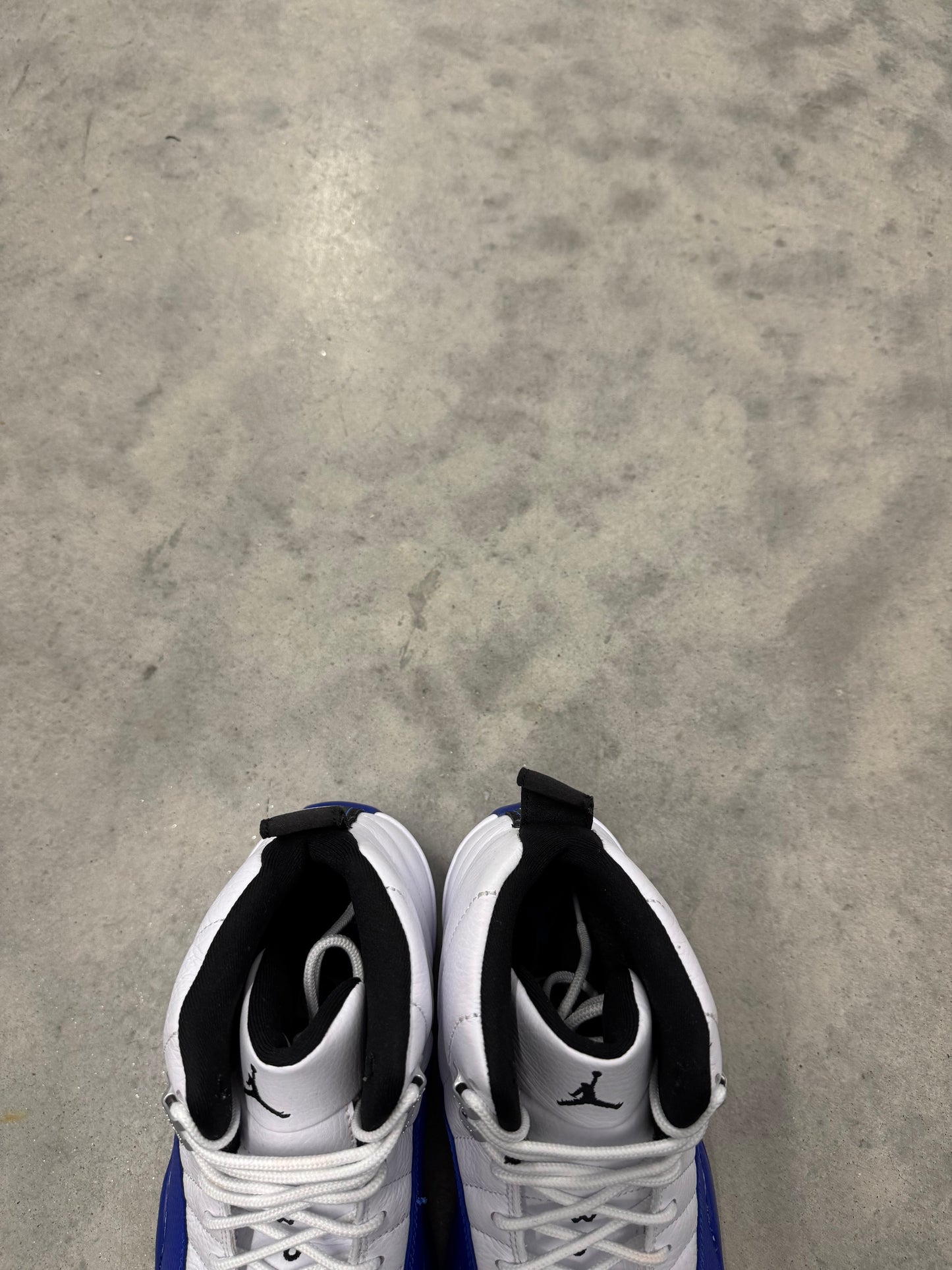JORDAN 12 “ Blueberry “