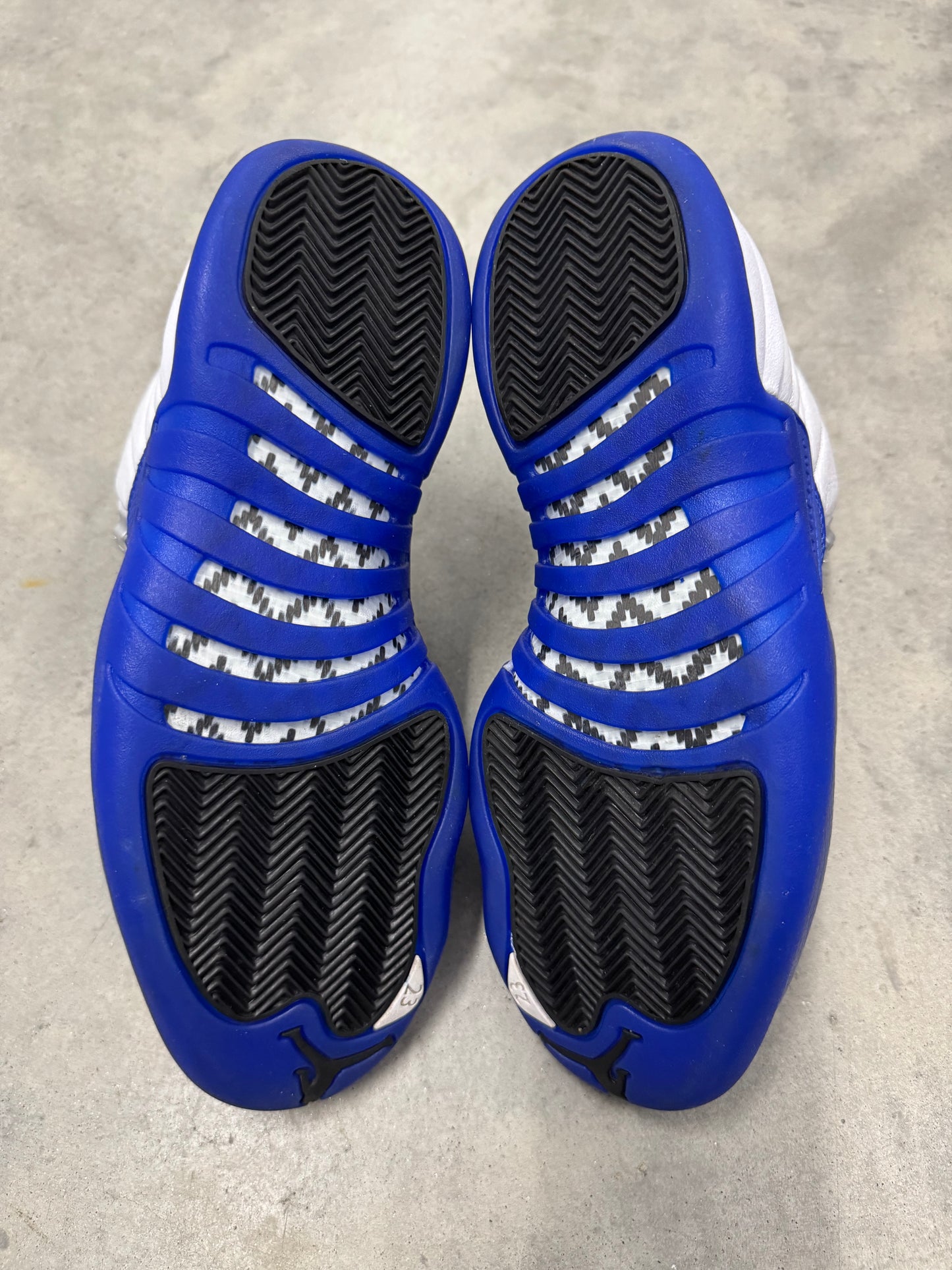JORDAN 12 “ Blueberry “