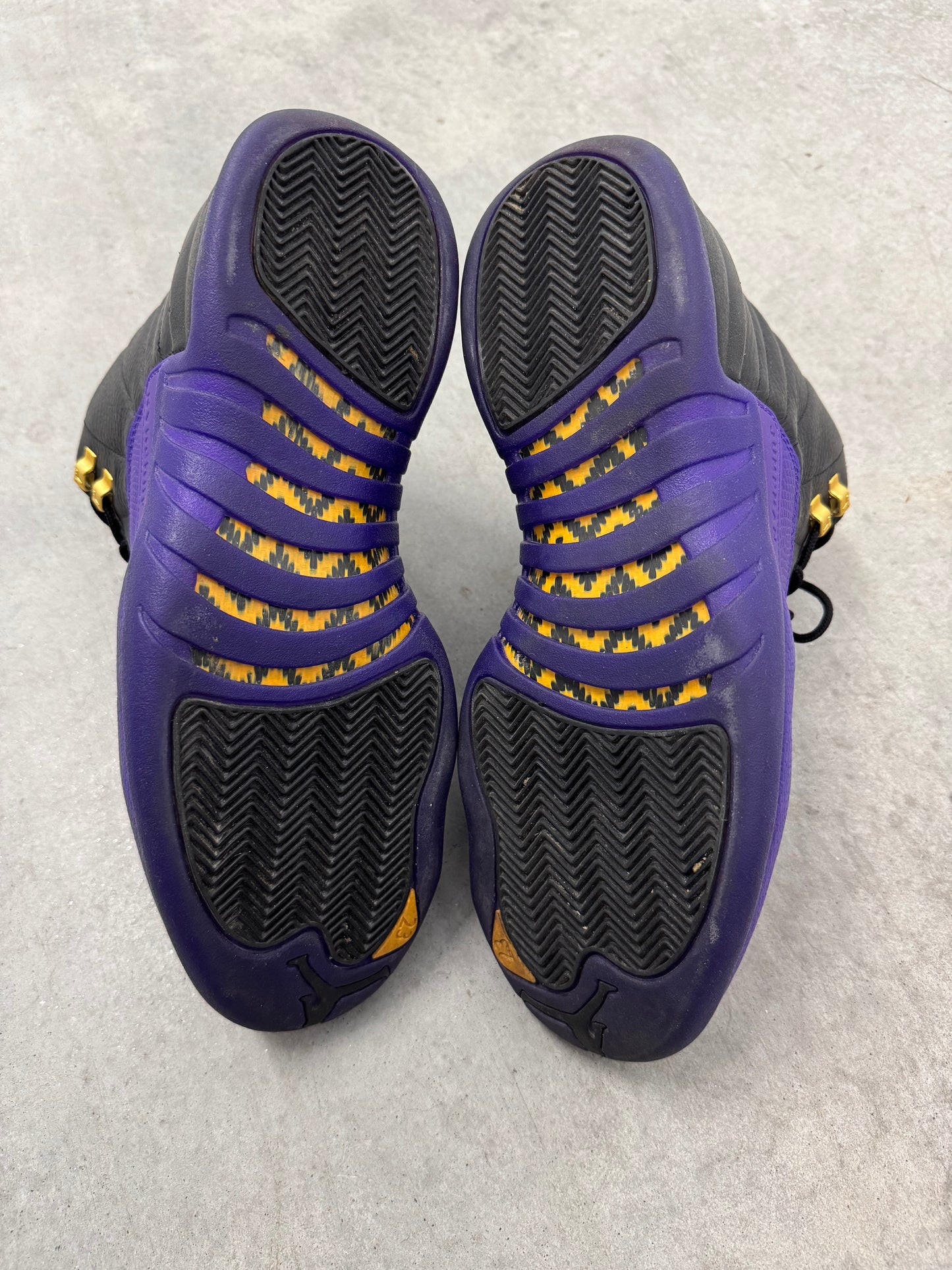 JORDAN 12 “ Field Purple “