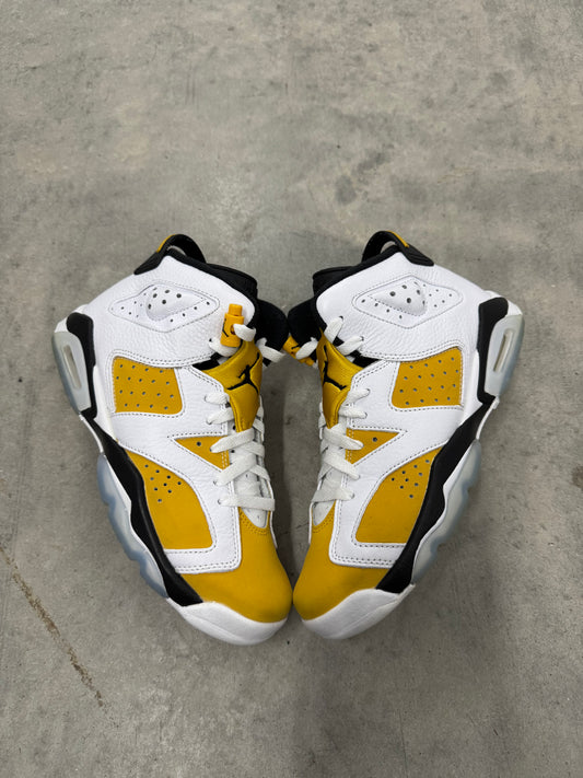 JORDAN 6 “ Yellow Ochre “