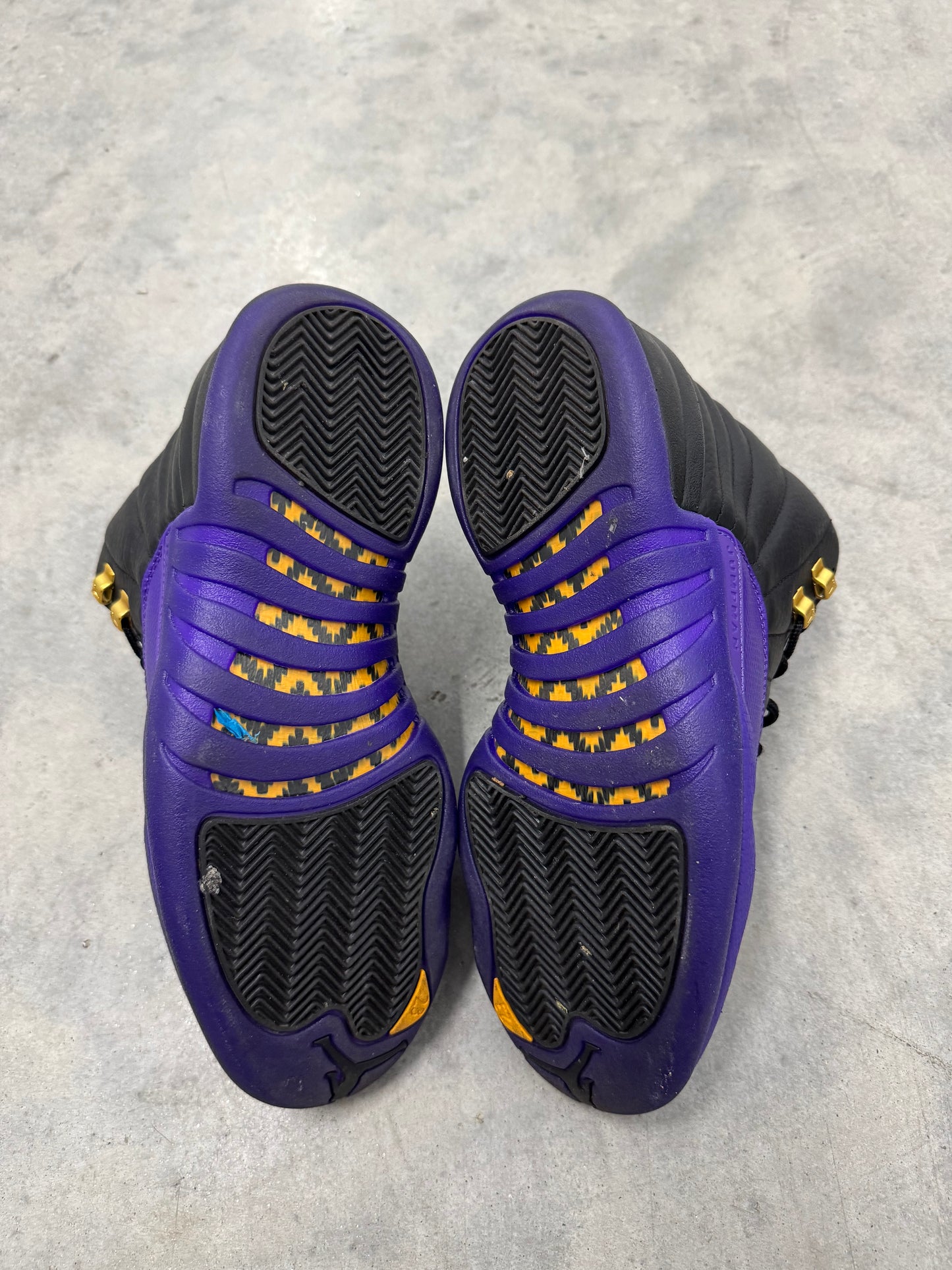 JORDAN 12 “ Field Purple “