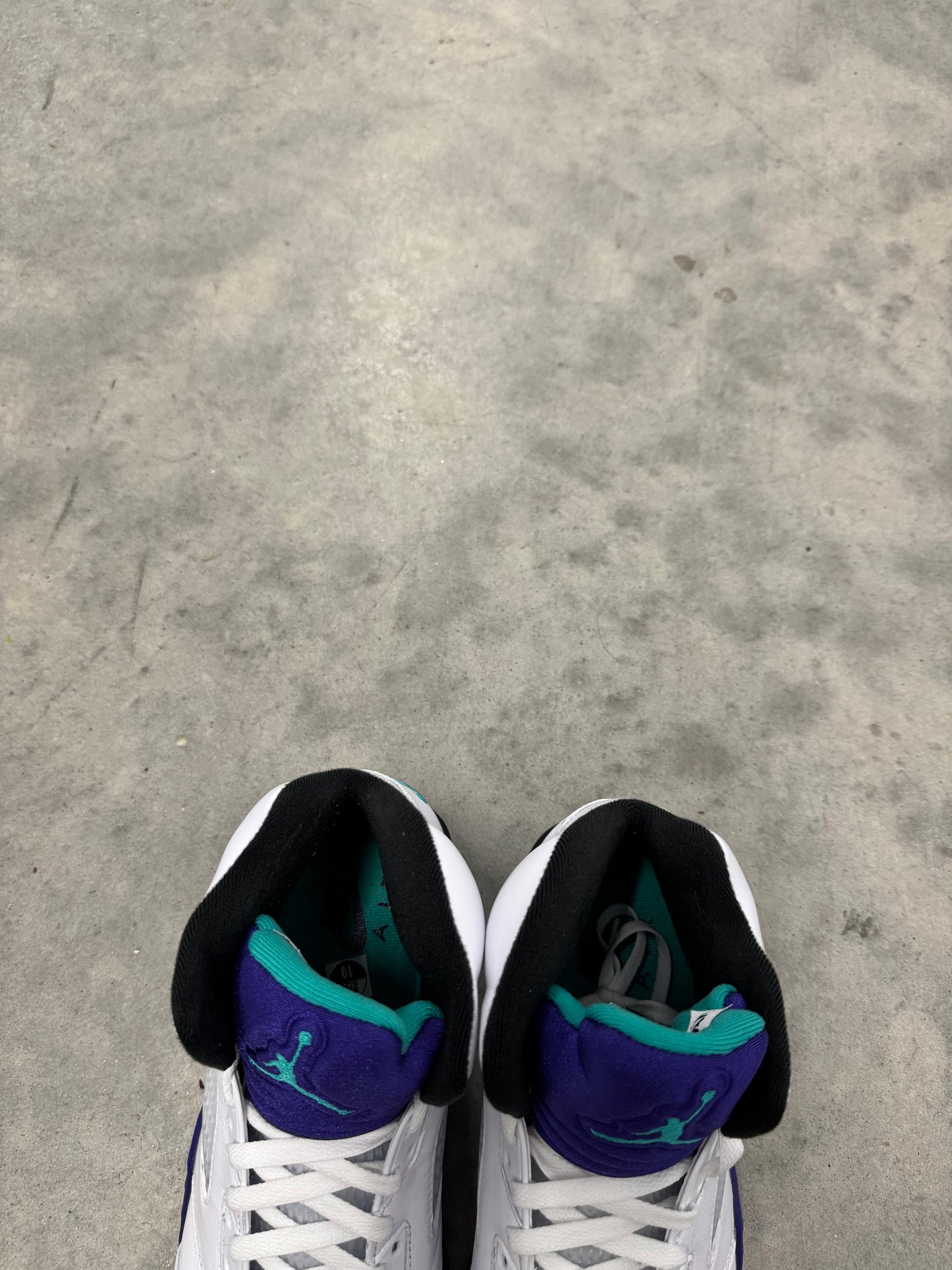 JORDAN 5 “ Grape “